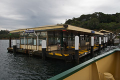 Ferry from Circular Quay to Taronga Zoo