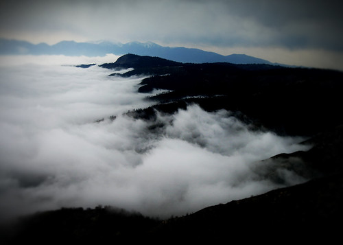 The Cold Fog | by Handcanons
