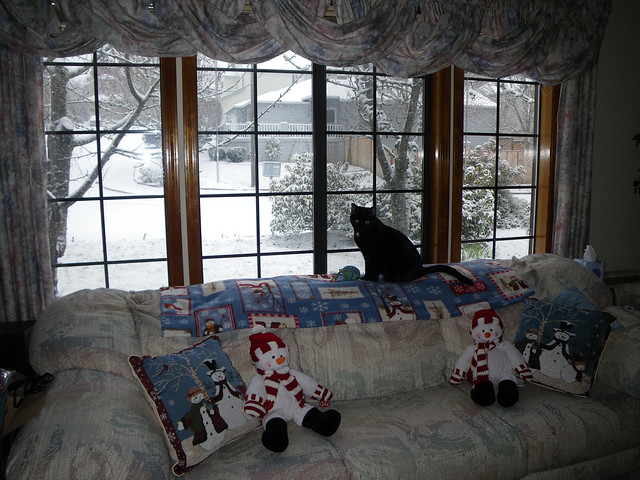 Remi Snow Watching