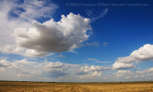 blue sky field yellow clouds landscape gold texas tx blueskies abilene kitsweeney