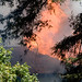 2008-09-05 Structure & Wildland Fire — Ben Lomond, CA