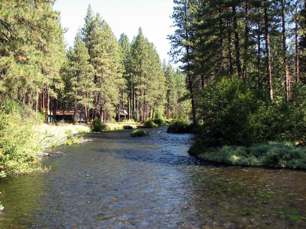 West Metolius River Trail