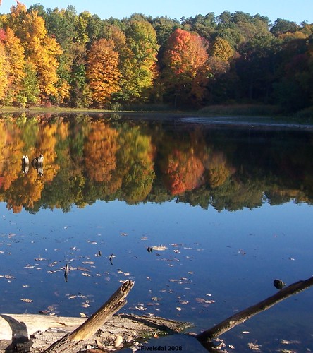 Fall Colors Near Pond in Red Hook NY | by jenniferfivelsdal