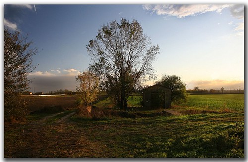 sentieri della Bassa | by fotodiale