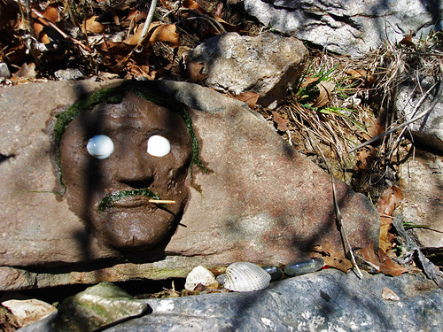 Algae Face 02 | by suzannarama