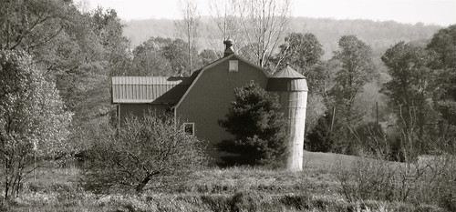 barn rural farm farming newyorkstate agriculture westford gambrelroof gambrel otsegocounty