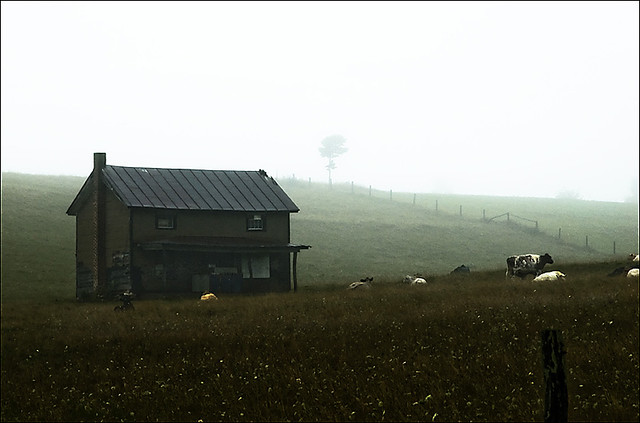Rural Life: Abandoned