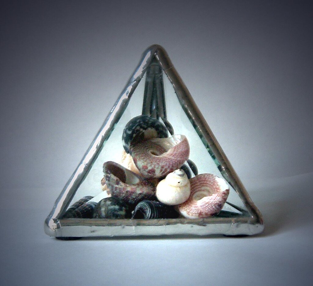 Paperweight with Shells