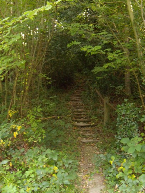 Infamous steps These steps may look innocent but they'll have you as soon as look at you. If you're looking at them from this angle, it's too late. You've probably already fallen down them. Balcombe Circular via Ardingley Reservoir (summer walk)