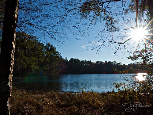 statepark lake georgia landscape olympus fdr e30 sunflare pinemountain zd 1454mm franklindrooseveltstatepark lakedelano