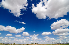 More Sky than Field