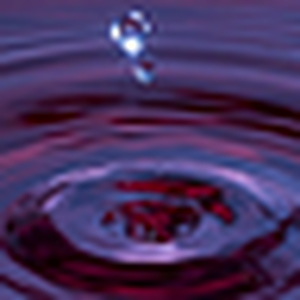 Flickr profile picture for @stated
