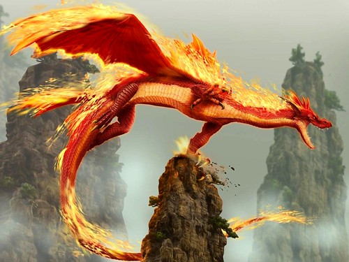 The Fire Dragon | A fire dragon | johanferreira15 | Flickr
