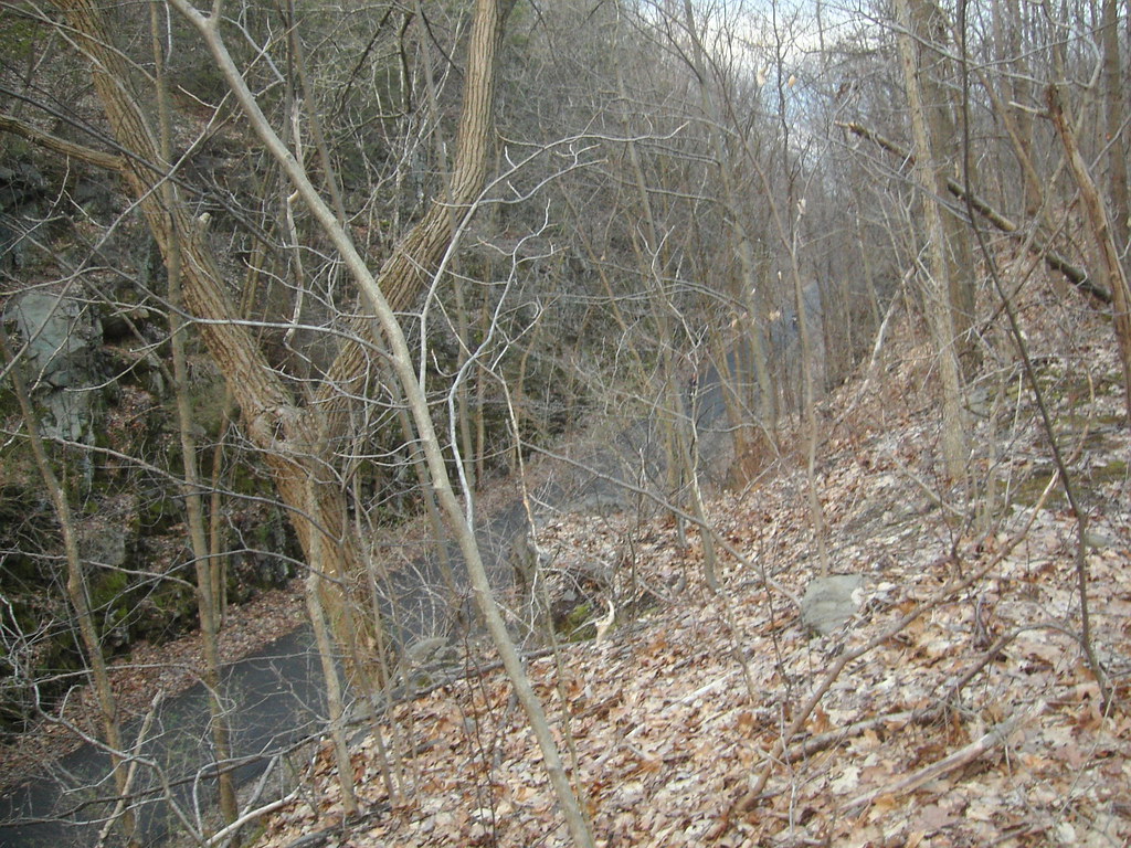 Yellow Trail