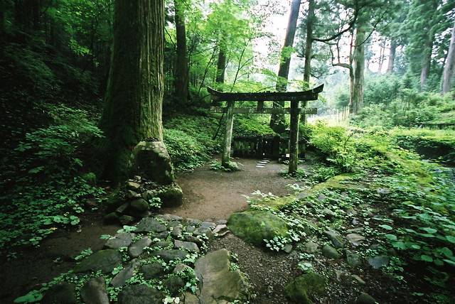 forest shrine