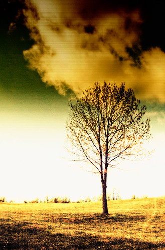 I still remember the day the world took you back & there was never time to thank you for the thousand scattered moments you left behind to watch us while we slept. by Trisha G.