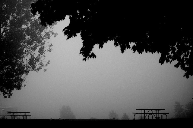 Picnic tables in fog