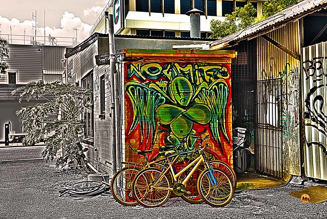 Bicycle Guard: Urban Art, Darwin