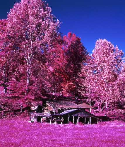 autumn trees barn rural landscape infrared shack quaint eir