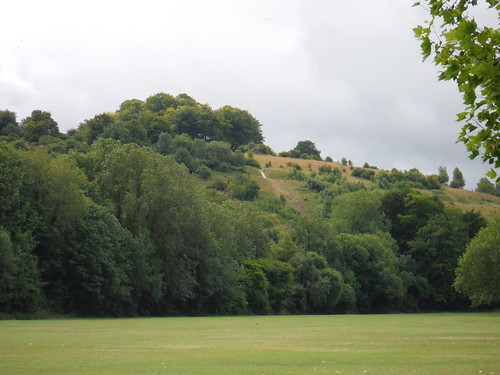 St, Catherine's Hill from riverside meadow SWC Walk 15 : Winchester Circular