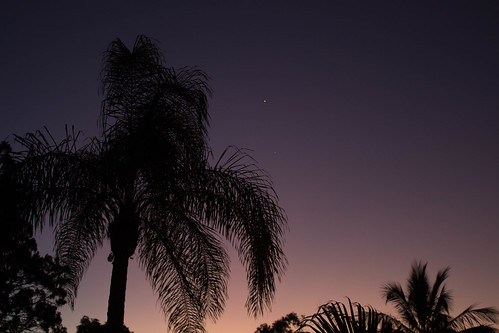 sunset summer beach stars landscape venus australia palmtree queensland tropical noosaheads