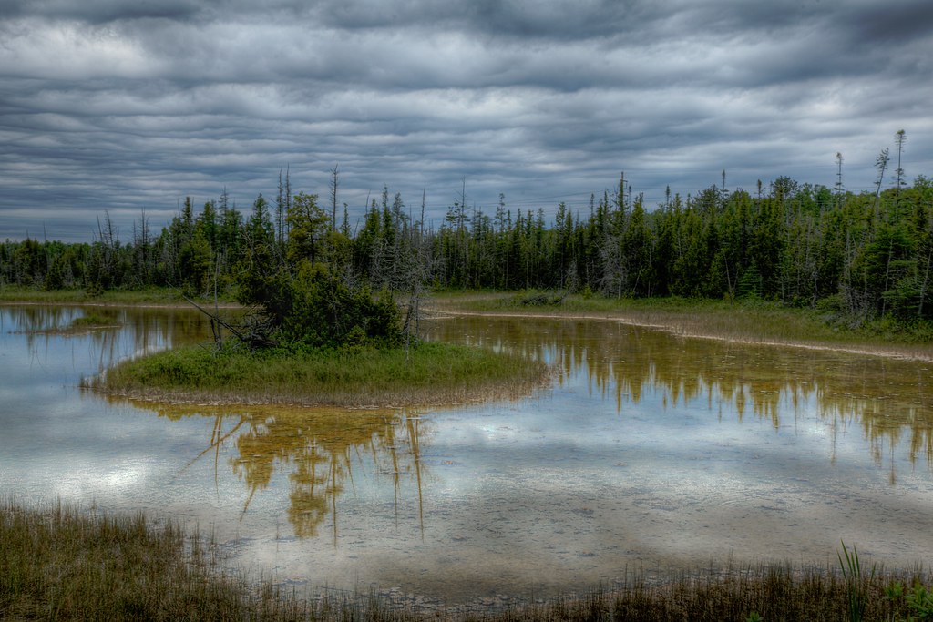Wetlands Near Presque Isle by Brian Callahan (Luxgnos.com)