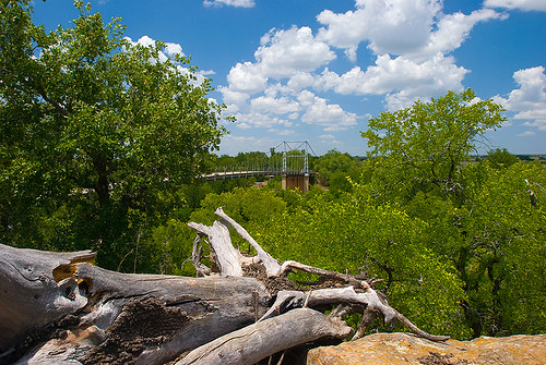 bridge texas suspension regency