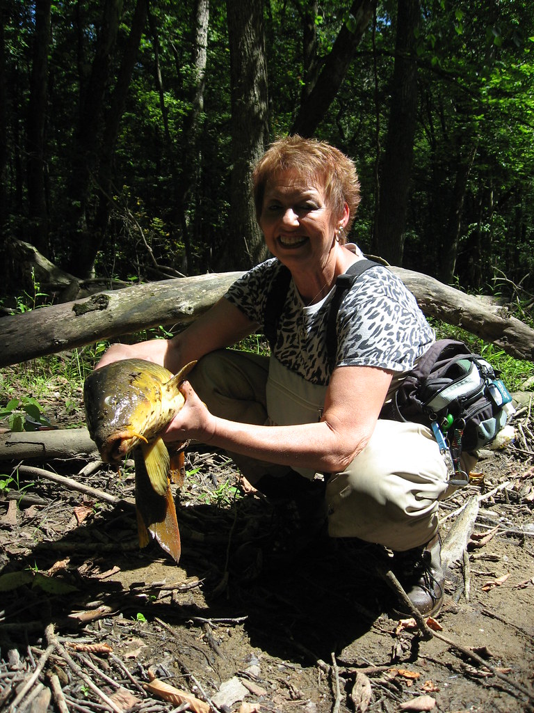 Fly Fishing Mohican State Park Clear Fork River