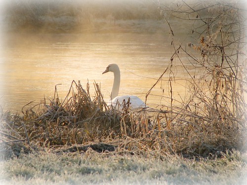 Frosty, misty sunrise........... | by Deeryme