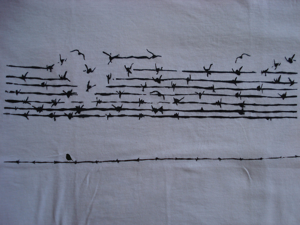 Barbed wire birds.