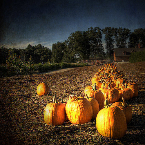 fall texture photoshop pumpkin landscape october farm pumpkins newengland september hdr