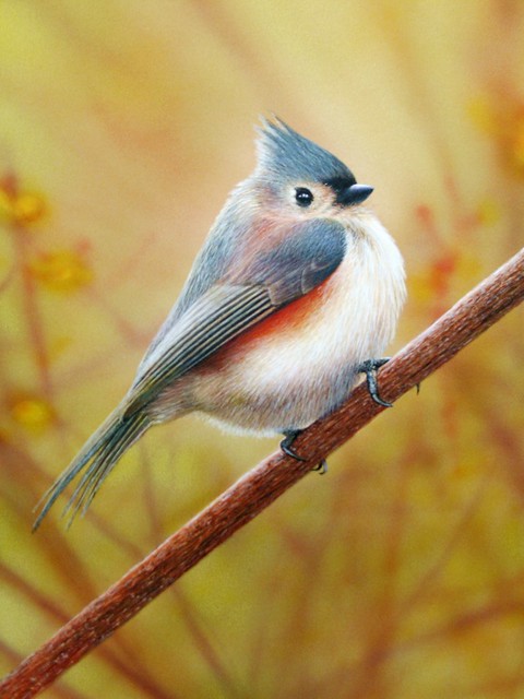 Painting of a Titmouse in fall scene