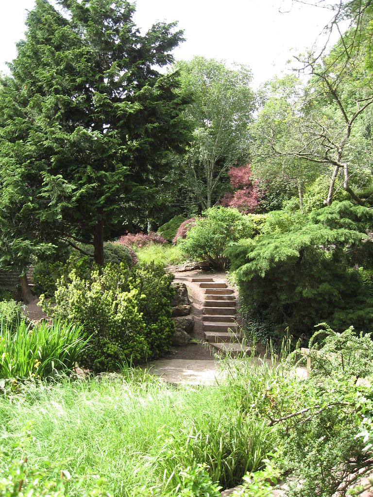Beechwood Park Steps