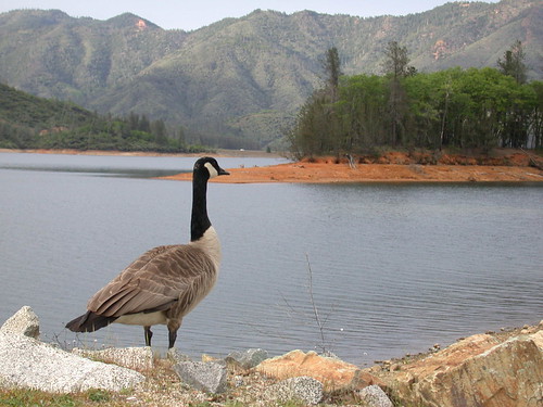 whiskeytown lake