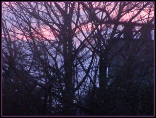 Sunset through chimney, tree and branches
