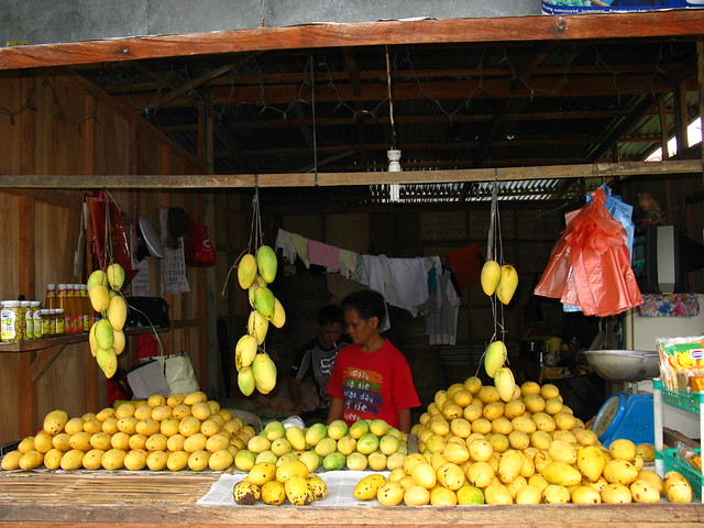 Mango Mangoes Philippines Asia Mangos Philippinen