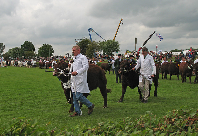 Parade of winners - Lincolnshire Show