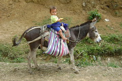 They master riding early in this part of Peru