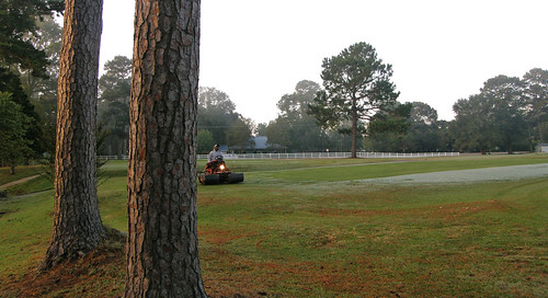 morning autumn trees panorama green fall grass sunrise golf landscape louisiana view pano wideangle panoramic golfcourse cutting countryclub mower ncc 2008 sturdy natchitoches mowing greenskeeper stimpmeter sp560uz luckylinks natchitochescountryclub greenskeep redpinetrees