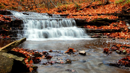 fall water leaves creek silver river rocks stream conservation falls creditvalley