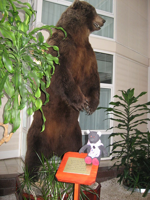 The Hotel Bear