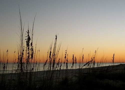 IMG_0265.JPG by j.s. clark, sunset beach water florida dogisland