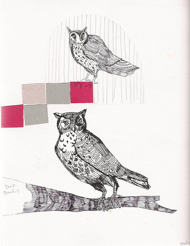 two owls | by unity coombes