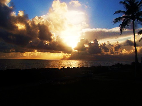 trees puertorico palm sanjuan perfectsunsets sunrisesandskys