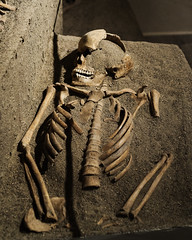 Iron Age burial of a woman from the area of the Carcer Tullianum