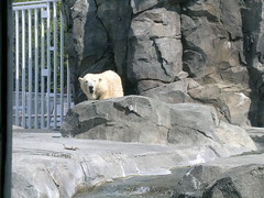 Аляскинский зоопарк