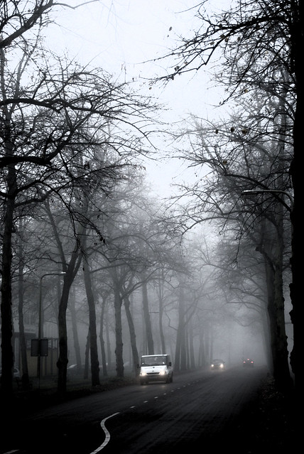 Maliebaan, Utrecht in the mist
