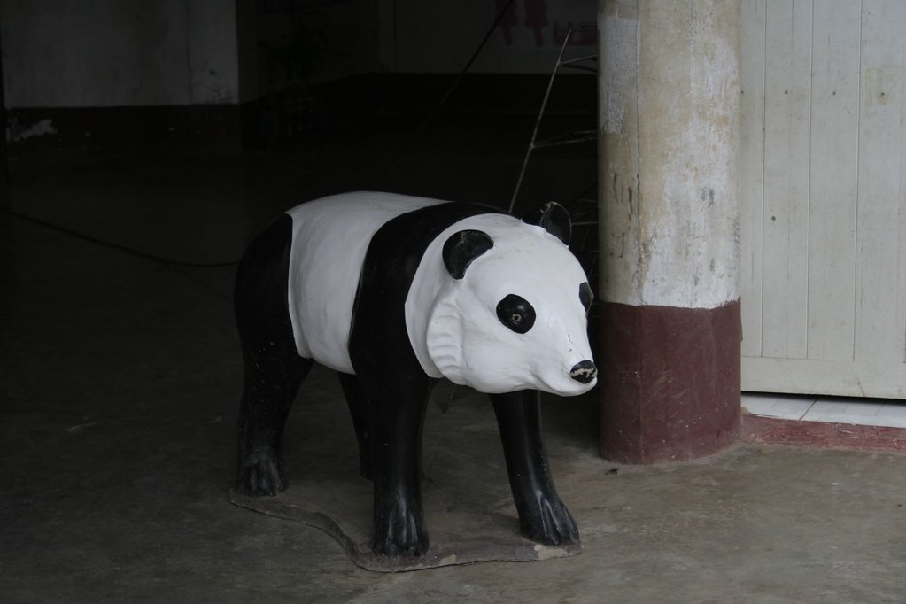 skinny panda, lumico
