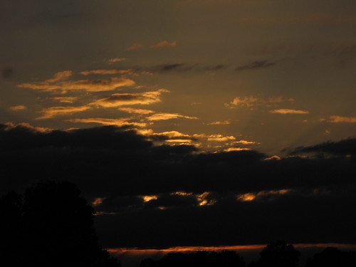IMG_4679 by Claire DeLand ~ "GA Music Maker", Another beautiful <i><b>Northeast Georgia</b></i> sunset. 

Taken at the local truck stop (Echo Rest