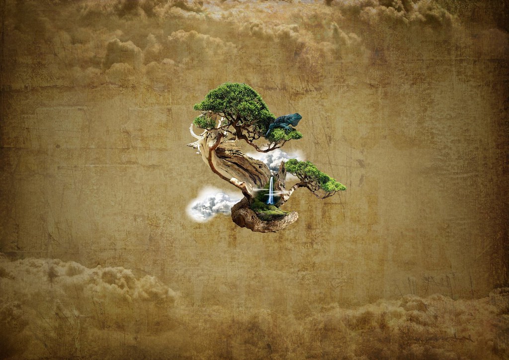Bonsai Wallpaper | a two-hour work but cost 4 hours to find … | Flickr